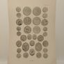 Medallic Illustrations of the History of Great Britain and Ireland Image 2