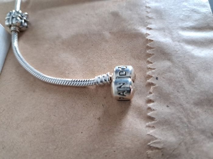 Pandora Bracelets (2)