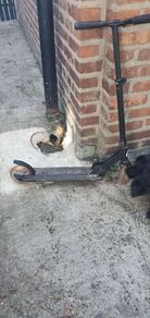 scooter