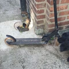 scooter