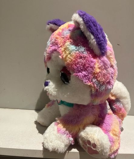 Hope the rainbow husky