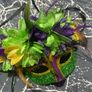 Carnival Party Theme Costume Mask new for women Image 7