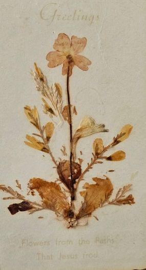 Vintage Framed Dried Pressed Wildflowers Picture Art