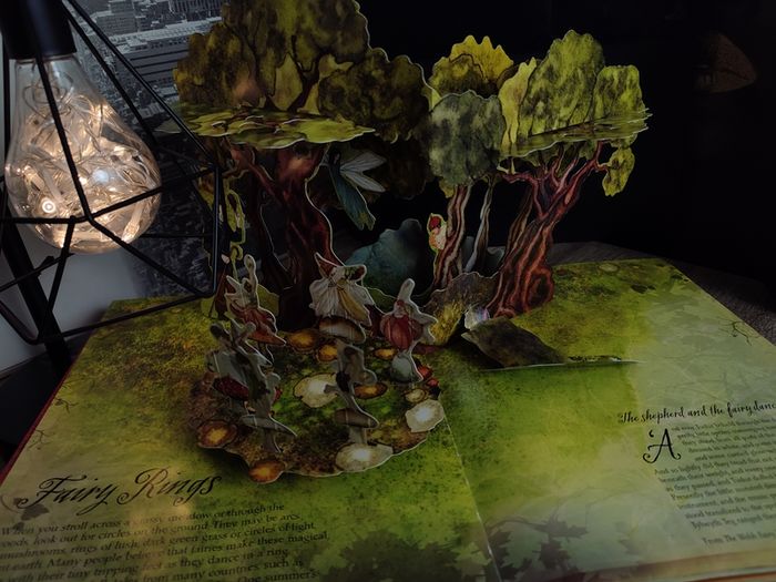 A Field Guide To Fairies ! Beautiful Pop-up Book ! Hardcover ! 2009 ! by Kingfisher !