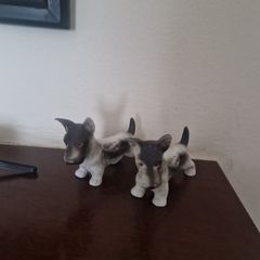 ceramic dogs