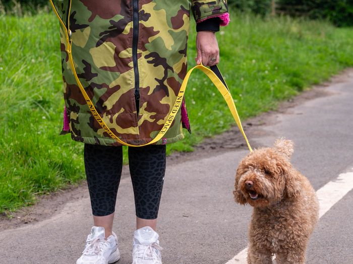 New Double Handle Dog lead
