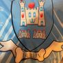 Dublin GAA Jersey for dog size M New Image 5