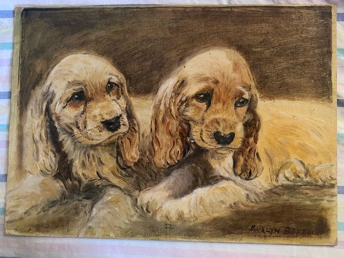 Cocker Spaniel Puppies oil on board- No Frame signed evelyn barwell ?