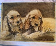 Cocker Spaniel Puppies oil on board- No Frame signed evelyn barwell ?