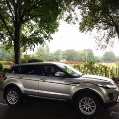 Range Rover Evoque SD4 Automatic - Gold