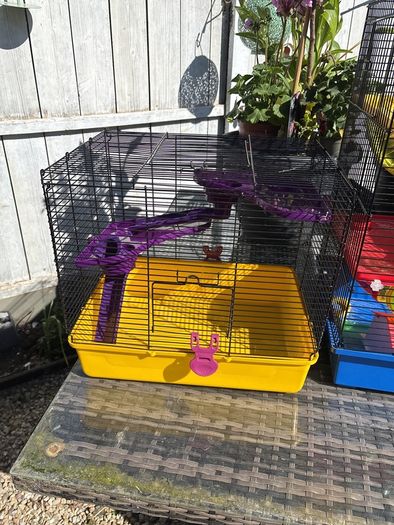 Hamster cage