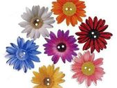 Wooden Buttons- different shapes