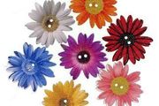 Wooden Buttons- different shapes