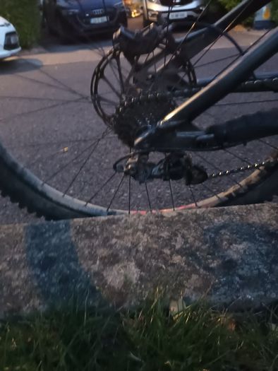 Vitus dh bike