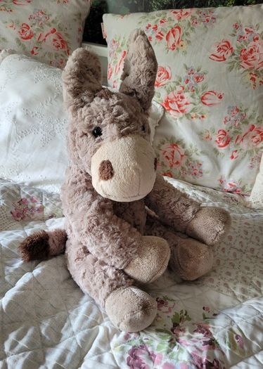 Gorgeous donkey teddy
