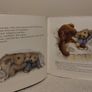 Hoot, Old Bear, Classic Jane Hissey Hardback Book Image 6