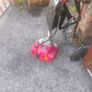 50cc strimmer Image 3