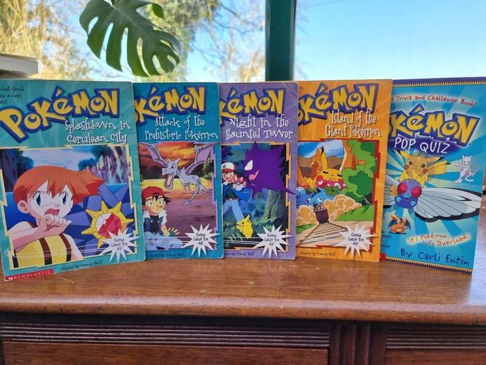 Pokemon book bundle
