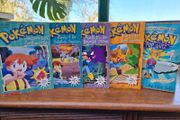 Pokemon book bundle