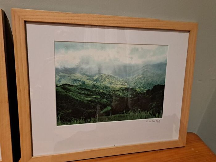 Framed pictures
