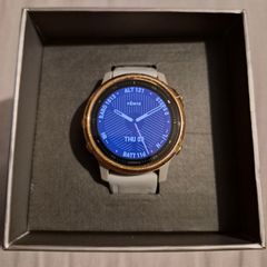 Garmin Fenix 6S Sapphire Watch