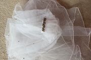 Communion Veil with Crystals