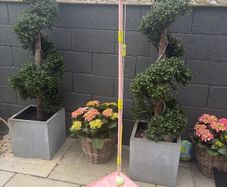 Swingball