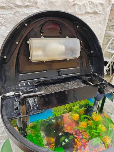 Fish Tank