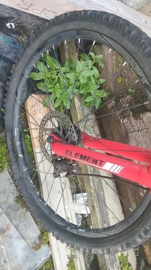 mountain bike