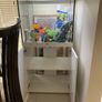 fish Image 2