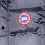 Canada goose Image 2