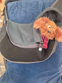 Puppy carrier