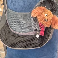 Puppy carrier