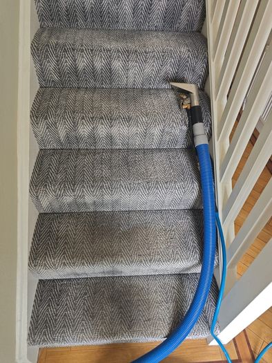 Professional Carpet and Upholstery Cleaning