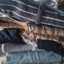 Huge Baby Boy Clothes Bundle Image 3