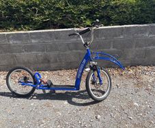 dog scooter