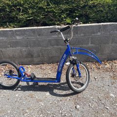 dog scooter