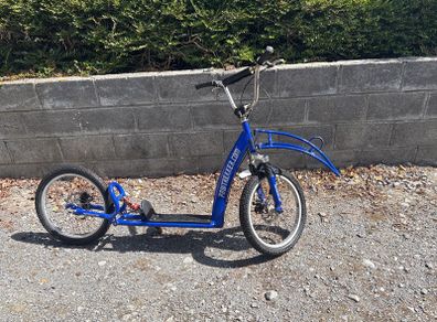 dog scooter