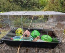 Hamsters cage