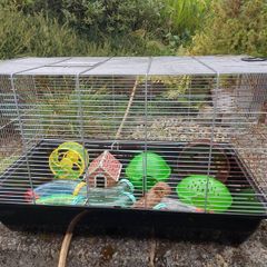 Hamsters cage