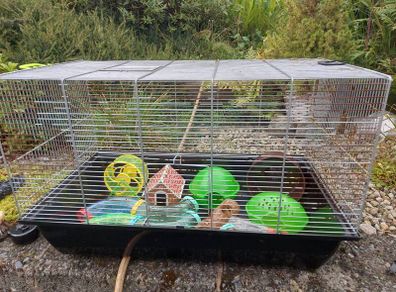 Hamsters cage