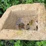 Granite Planters Image 8