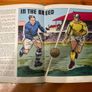 Comic: 'Striker'' annual 1974 Image 4