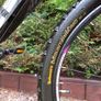ladies mtb Image 4