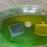 Hamster cage Image 2