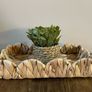 table centrepiece Image 3