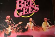 Bee Gees Ive Gotta Get A Message To You 1978 UK Vinyl LP