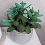 arificial plant with stone pot Image 2