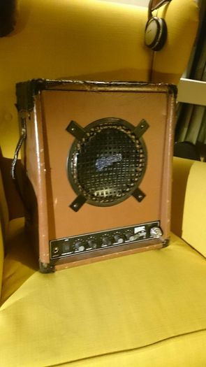 PIGNOSE 30watt busking amp