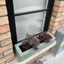 Window Planter Box Image 8